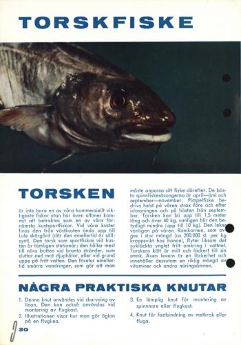 Fisketur med Arjon 1965 Sid30